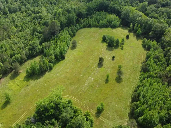 Fate Ward Rd, Prentiss, MS 39474