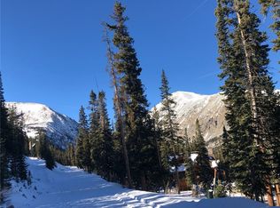 246 Hamilton Ln, Breckenridge, CO 80424