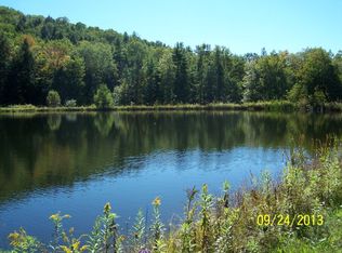 832R Monkey Run Rd, Elmira, NY 14901