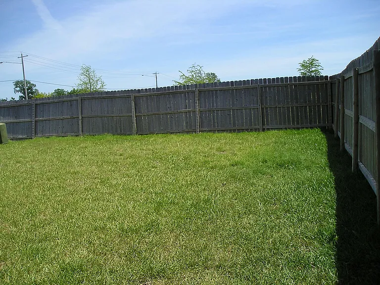 large backyard