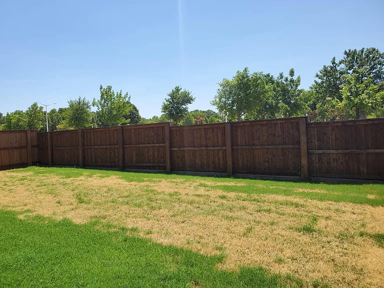backyard with park view with beautiful trees