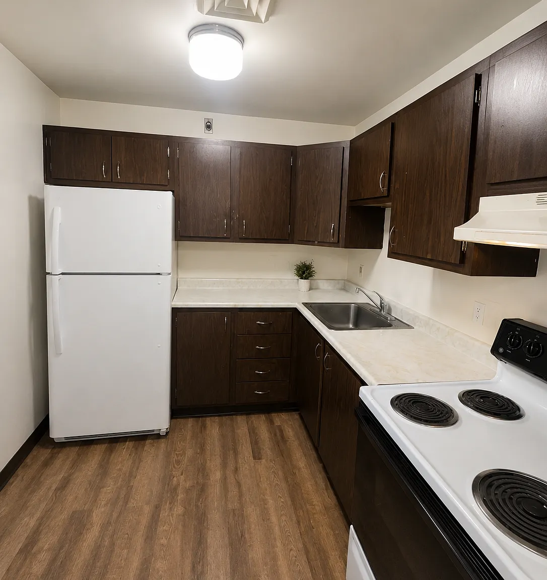 1 bed, $999 — Photo 3