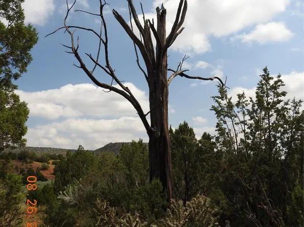 0 County Road B27 Rd, Serafina, NM 87569
