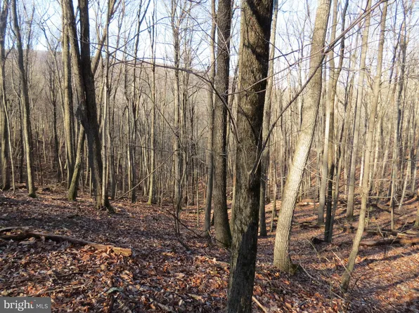 14A Cedarwood Drive Rd, Mathias, WV 26812