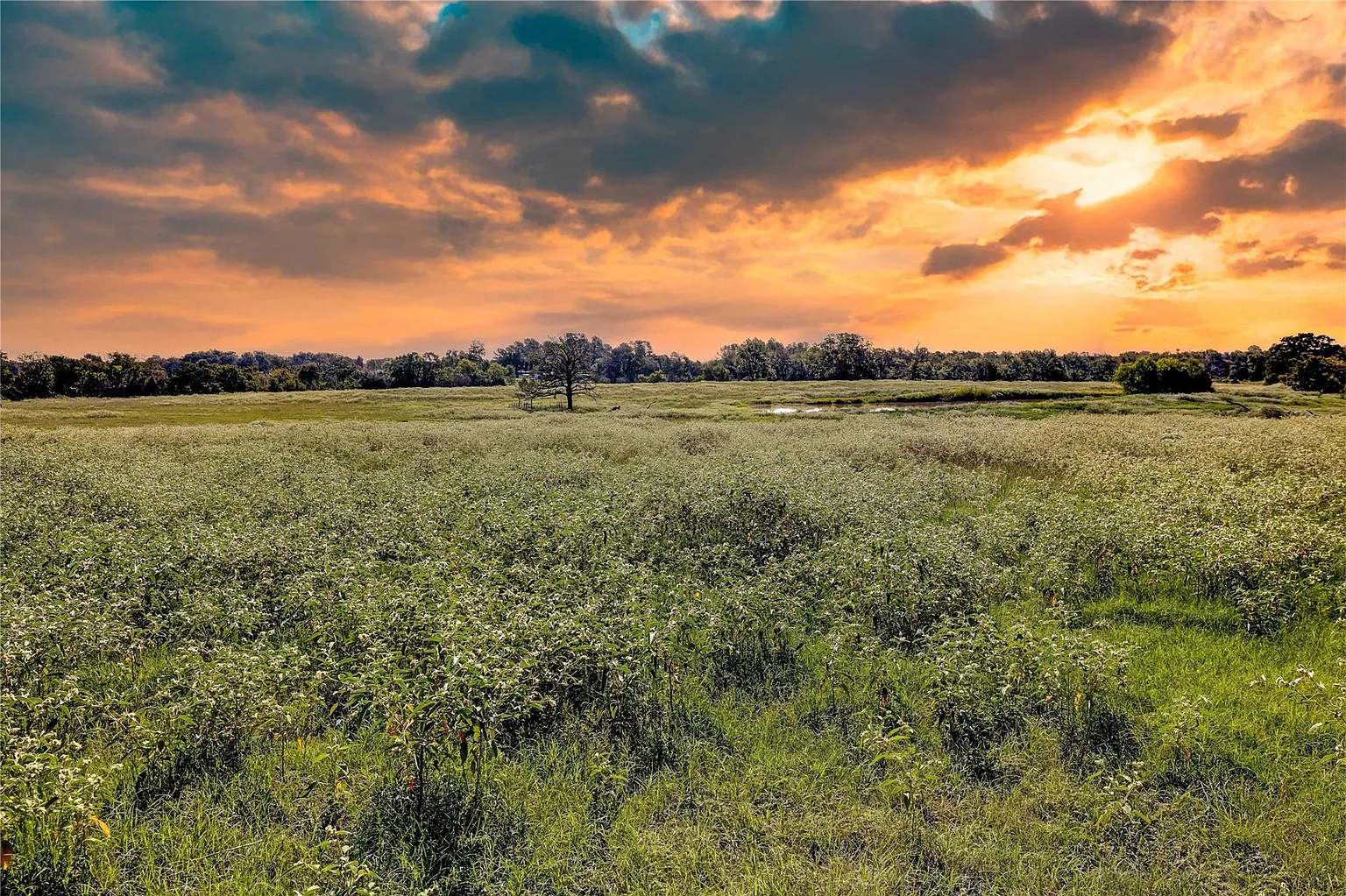 1197 Fm 489 W photo 1