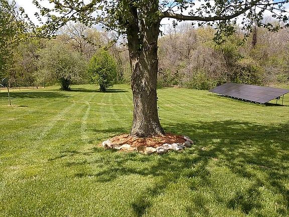 Apple trees new solar array.