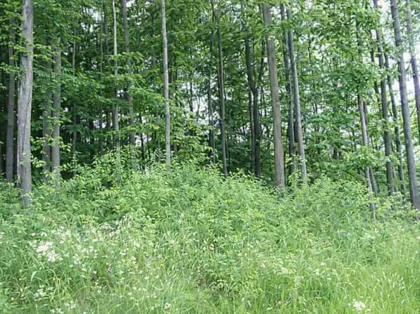 8877 Cedar Creek Dr, Petoskey, MI 49770