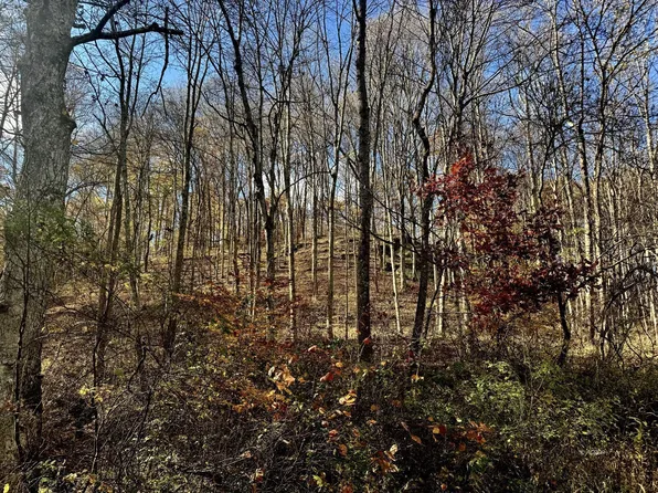 Horse Cave Rd, Racine, OH 45771