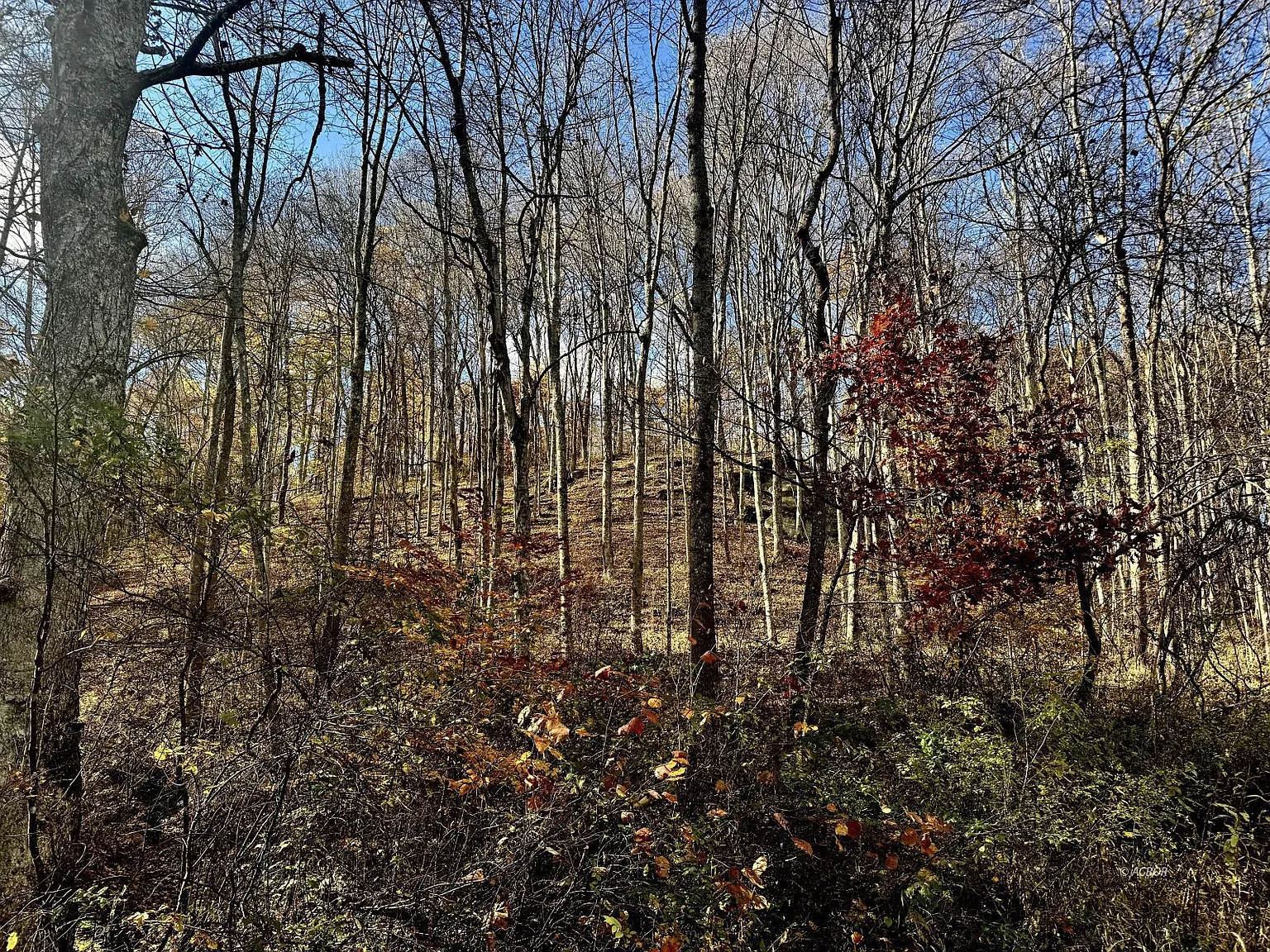 Horse Cave Rd photo 1