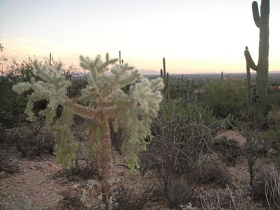 2nd image of 10255 E Sabino Estates Dr