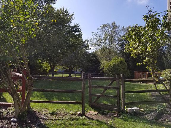 back yard