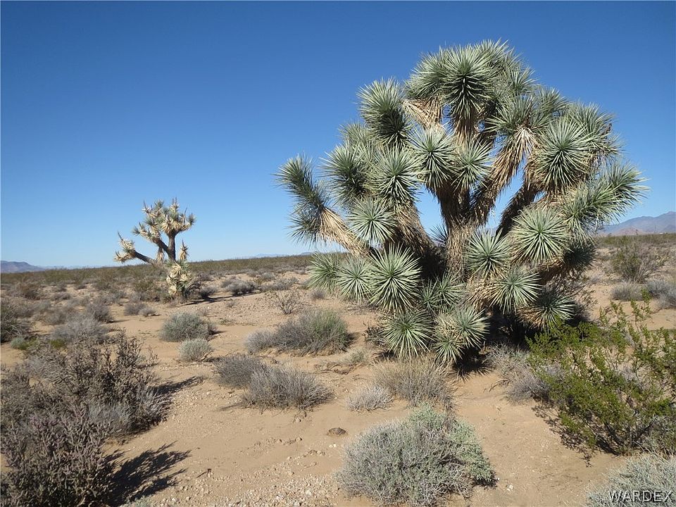 1st image of 207-01-048 Red Cloud Drive