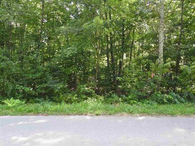 LOT 147 Mink Dr, Roscommon, MI, 48653