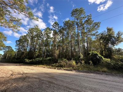 111 Camp Rd, Palatka, FL, 32177