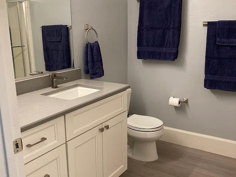 438 Desert Poppy Dr — Photo 16