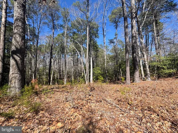 0 Mutiny Dr, Greenbackville, VA 23356