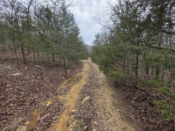 L-24 Tom Lee #B, Hardy, AR 72542