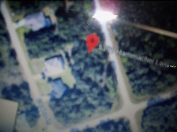 3rd image of Hammacher Ln