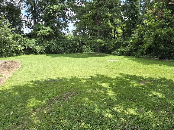 Large Backyard