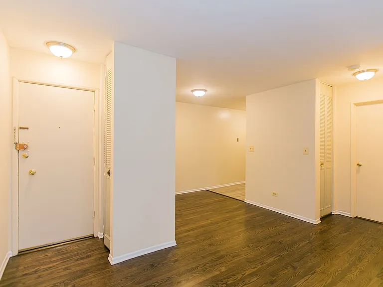 519 W Deming Pl #217 — Photo 5