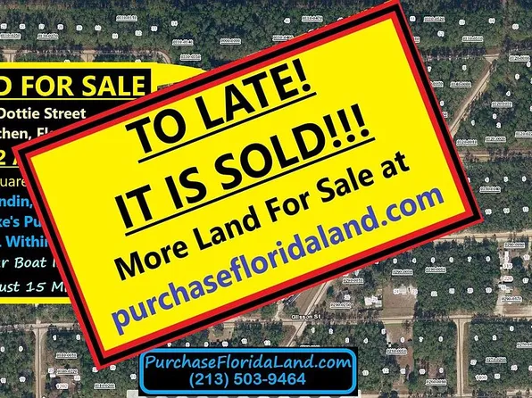0 Dottie St, Interlachen, FL 32148