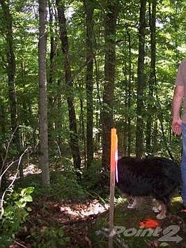 Beautiful views and complete privacy with a perfect name--Happy Top Mountain!!