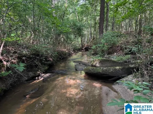 63445 Highway 22, Roanoke, AL 36274