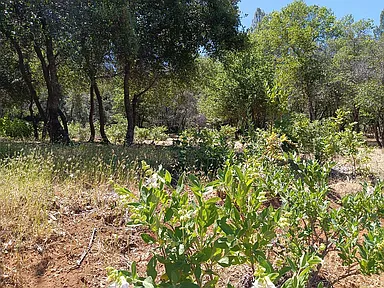 3091 Riviera Heights Drive