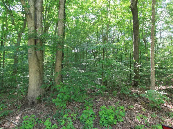 645 Campbell St, Woodruff, SC 29388