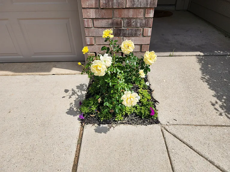 12808 Kingsgate Dr — Photo 38