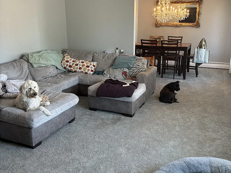 8 Yale Ave — Photo 12