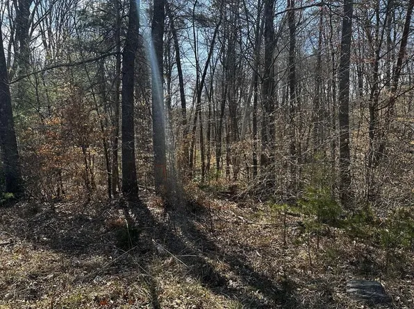 0 Bassett Heights Rd #38, Bassett, VA 24055
