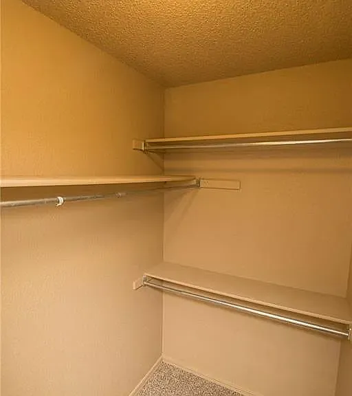 1 Raton — Photo 18