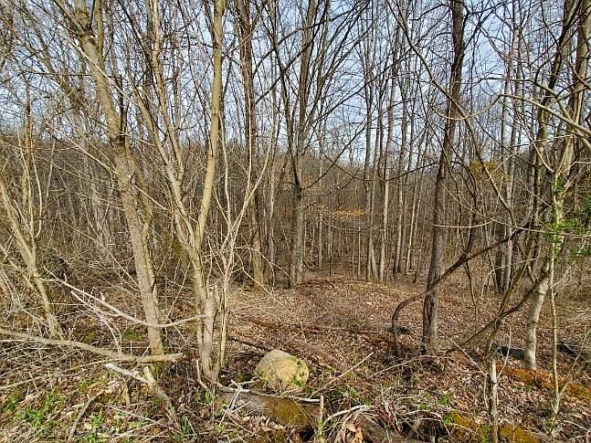 1st image of Orchard Dr