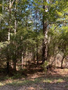 Farr Rd, Bolton, MS, 39041