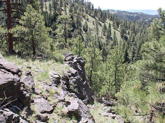 4th image of 6 Pine Coulee Ln