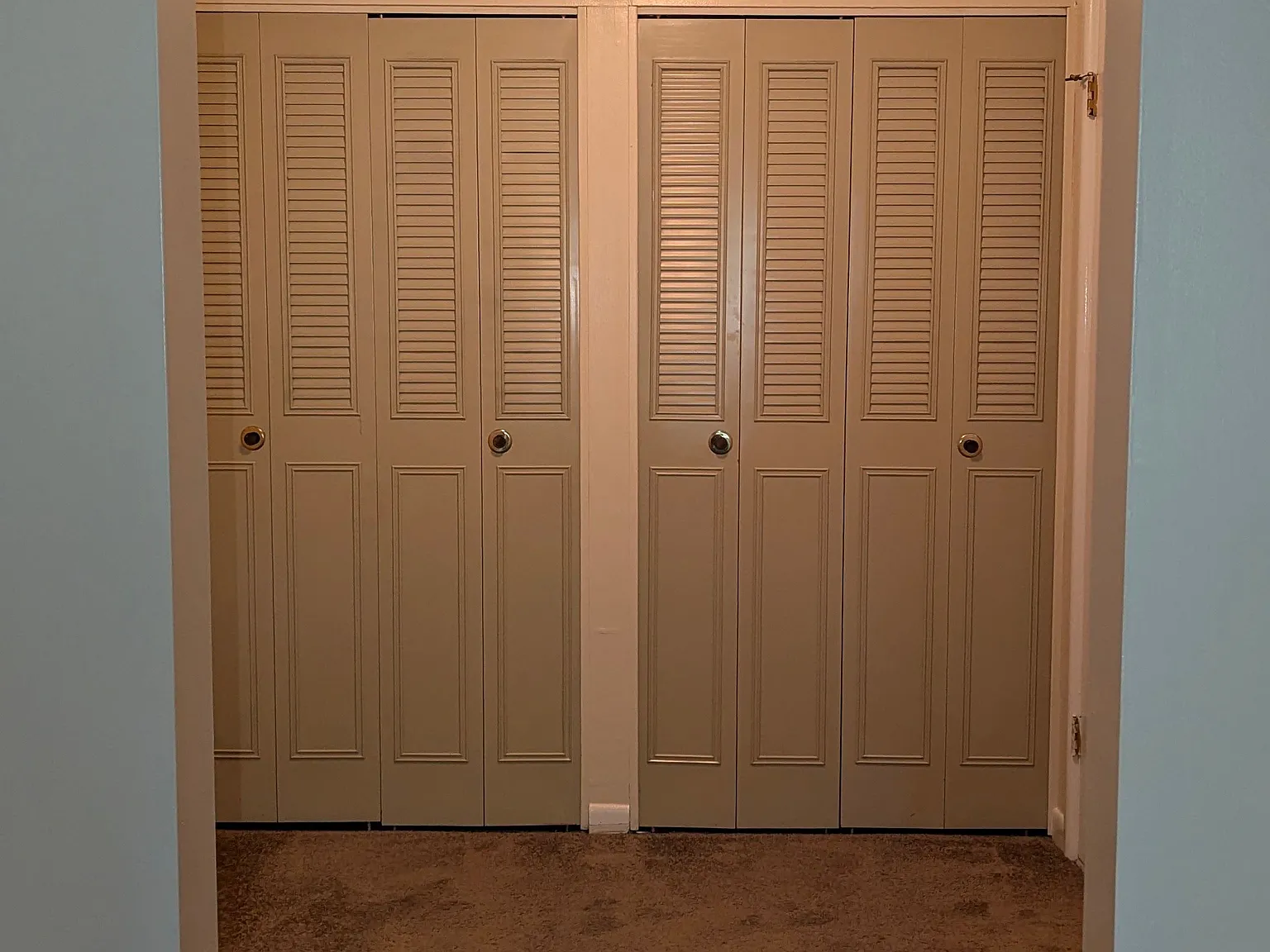 1 bed, 1.0 bath, 800 sqft, $1,600 — Photo 2