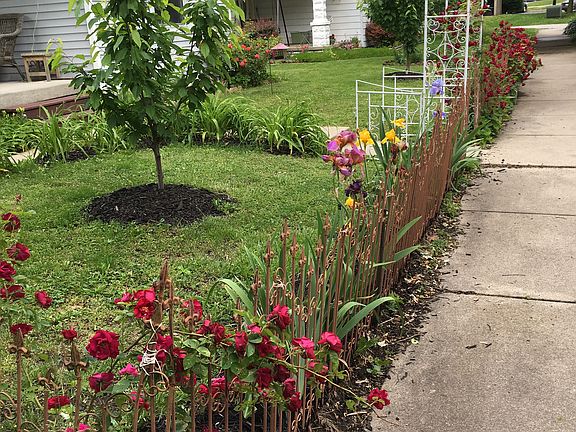 Front Yard Fence 