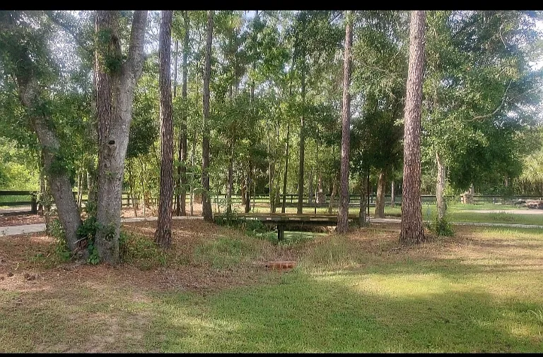 8438 Natures Hammock Trl — Photo 23