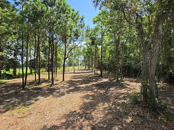 3rd image of 851 Highway 101 LOT 1