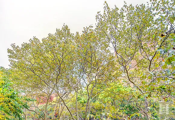 Sold by Halstead Real Estate | media 11