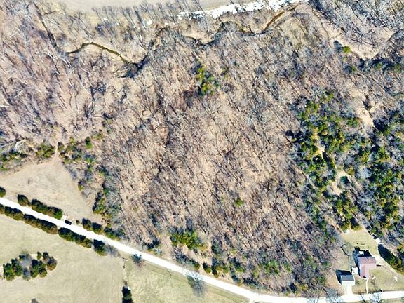 3rd image of Coyote Rd
