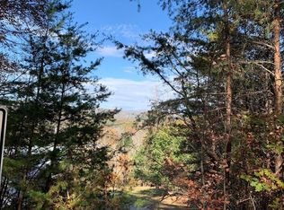 25 Mountain Knoll Ln, Warne, NC 28909