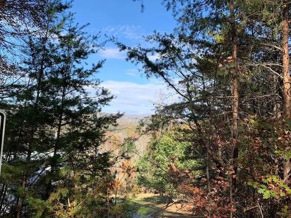 25 Mountain Knoll Ln, Warne, NC 28909