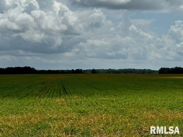 0 E Violet Rd, Mount Vernon, IL 62864