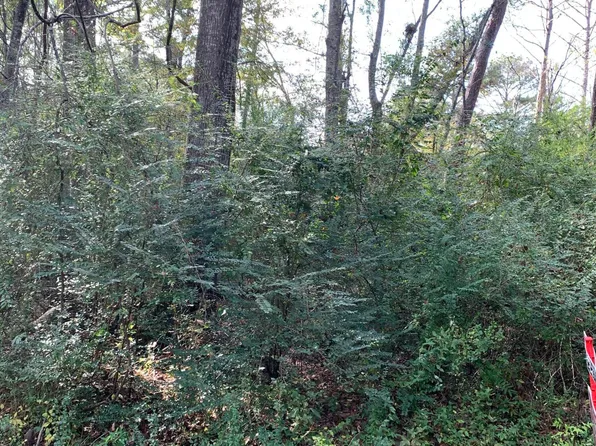 LOT 11 George Kersh Dr Lot 11, Pearl, MS 39208