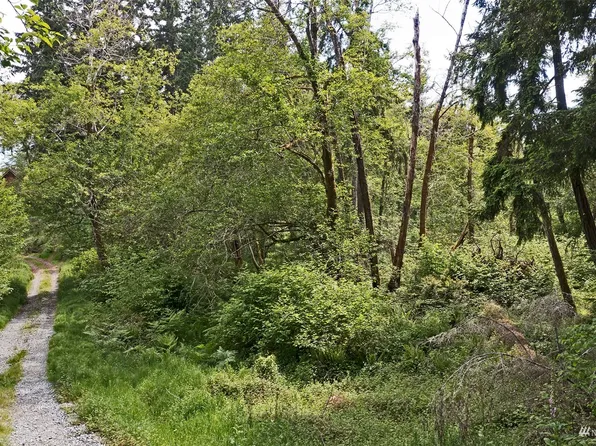14816 116th Street, Anderson Island, WA 98303