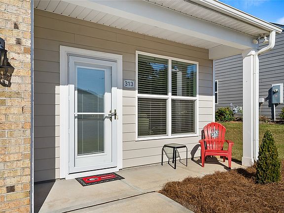 2nd image of 313 Village Boundary