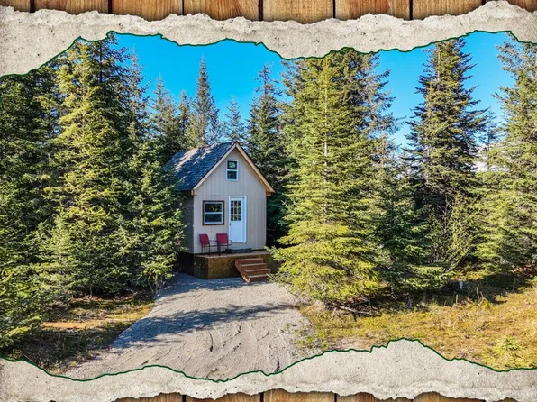 70859 Tall Tree Ave, Anchor Point, AK 99556