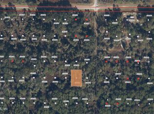 234 LAISY Drive, Georgetown, FL 32139
